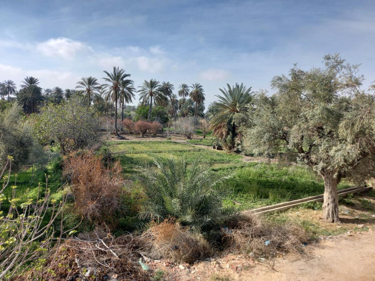 Dar Seddik Hotell Gafsa Exteriör bild